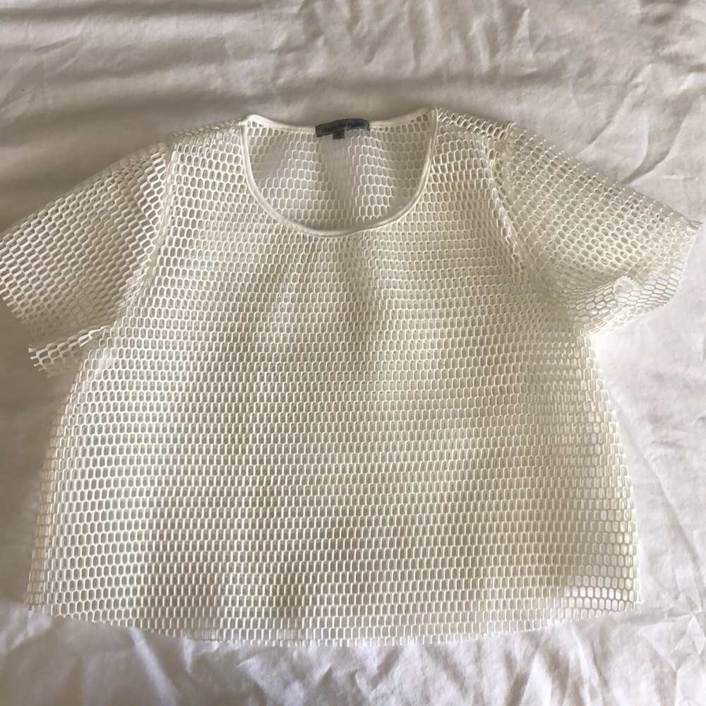White Mesh Crop Top